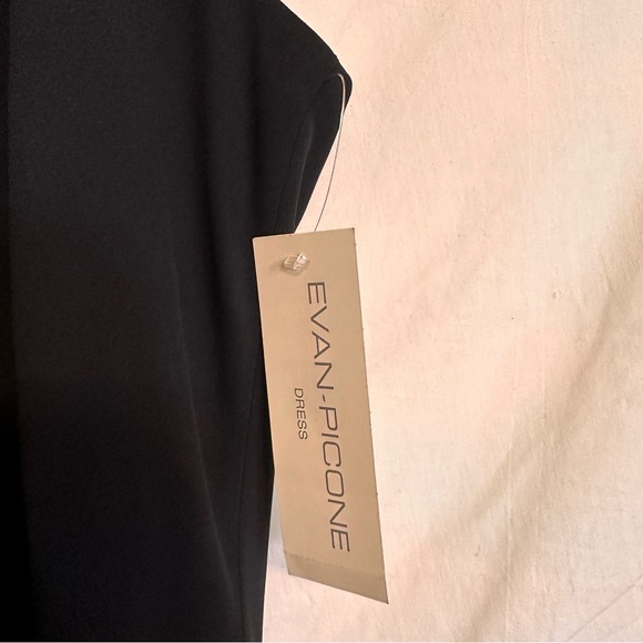 Evan-Picone Black Dress - Picture 3 of 13